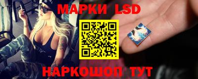 шишки Партизанск